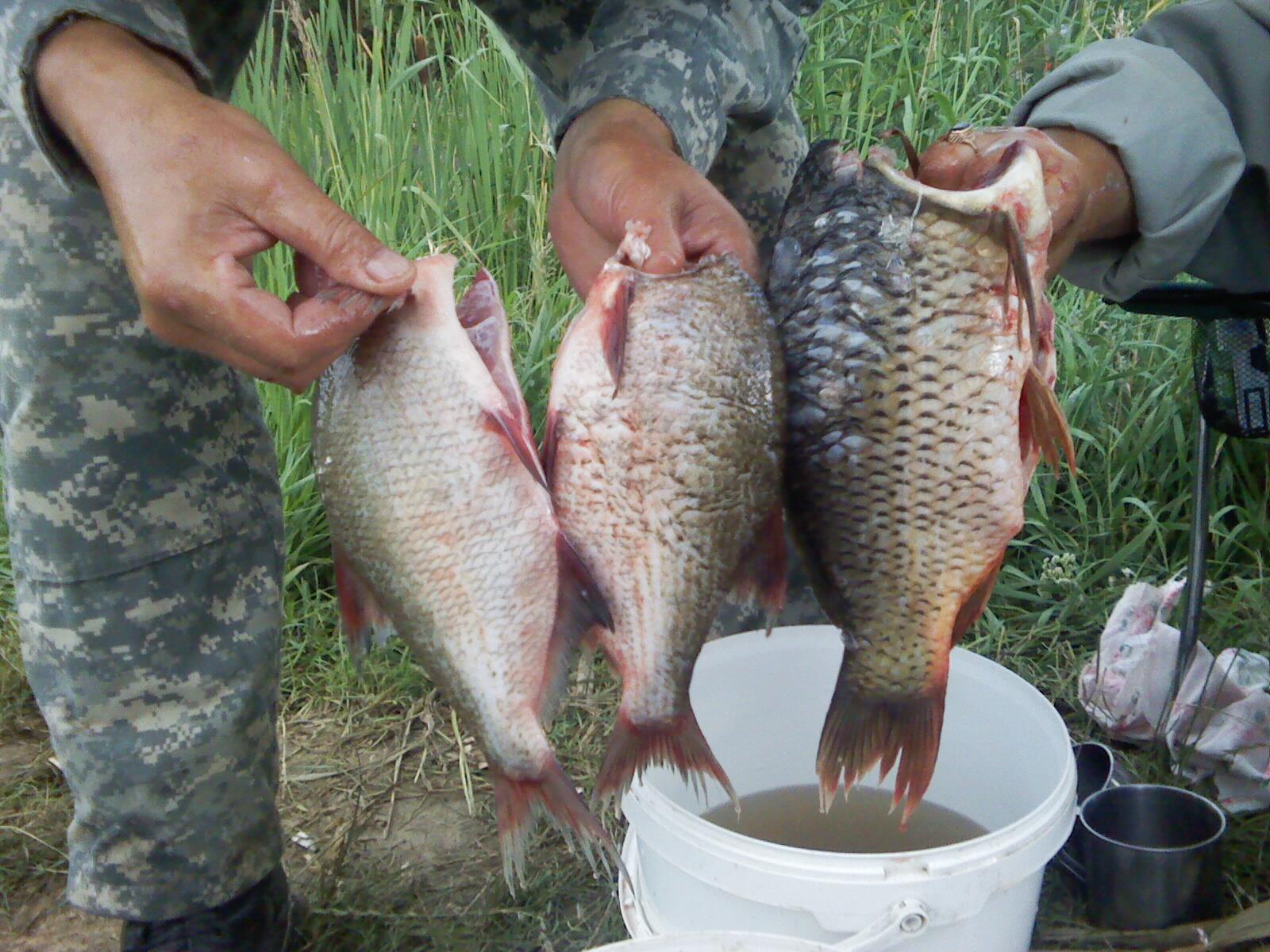 pescuit - PIC-0085.jpg